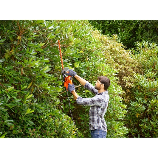 BLACKDECKER BEHT251C10 hedge trimmer used outdoors for trimming thick green bushes.