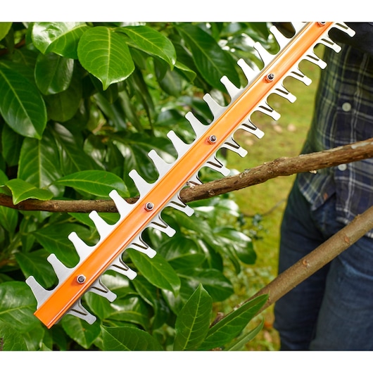 BLACKDECKER BEHT251 hedge trimmer blade cutting tree branch outdoors close-up.