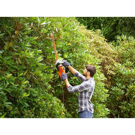 BLACKDECKER BEHTS301 hedge trimmer in use, orange and black, trimming tall green bushes outdoors.