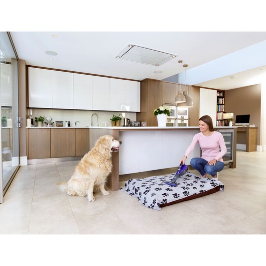BLACKDECKER DVA325JP07 handheld vacuum cleaning dog bed in modern kitchen, with dog present.