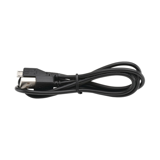 BATTERIA AL LITIO 12V-1.5AH con porte USB (caricabatterie e cavo USB in dotazione)