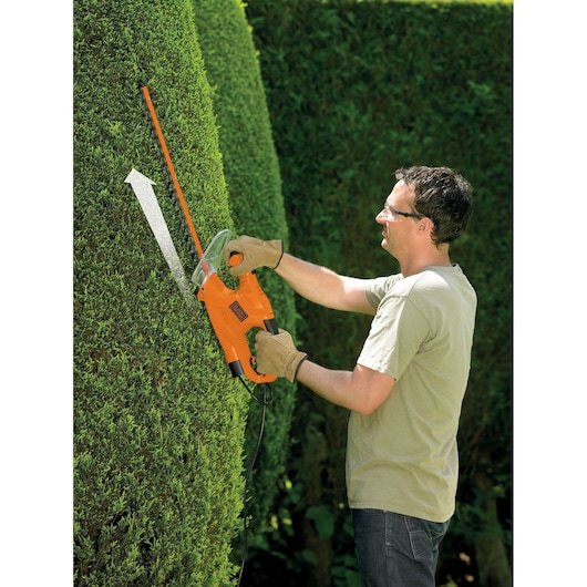 A person wearing gardening gloves uses an orange BLACK+DECKER electric hedge trimmer to trim tall, dense green hedges outdoors.