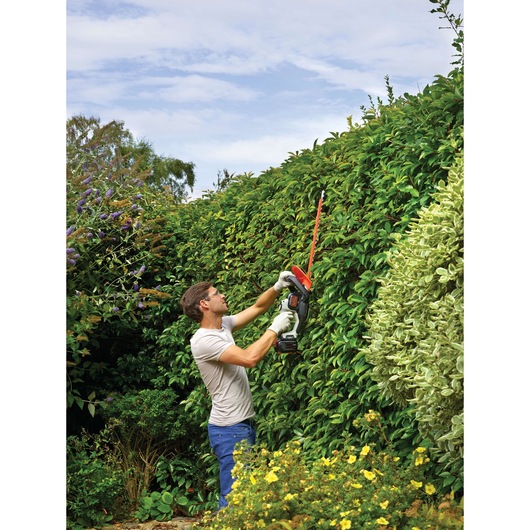 Photo of person using BLACKDECKER GTC5455PC hedge trimmer on tall green garden hedge.