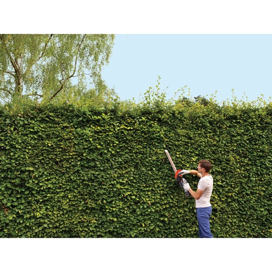 Photo of person trimming tall hedge with BLACKDECKER hedge trimmer GTC5455PC outdoors.