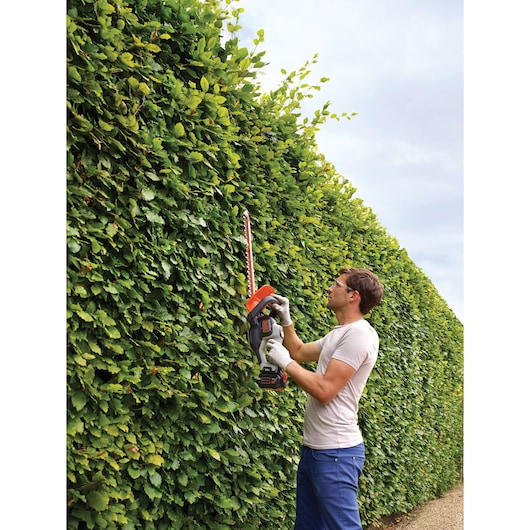 Photo of person trimming tall green hedge with BLACKDECKER GTC5455PC hedge trimmer outdoors.