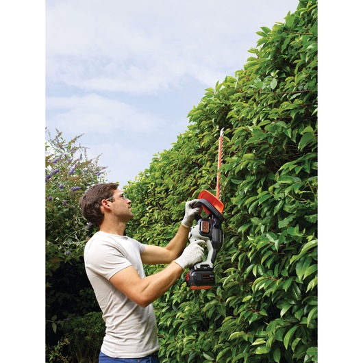 Person trimming hedge with BLACK+DECKER GTC5455PC cordless hedge trimmer outdoors.